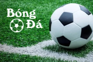 Phân Biệt Bóng Trong Cuộc Và Bóng Ngoài Cuộc Không Còn Nhầm Lẫn