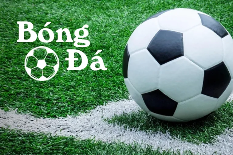 Phân Biệt Bóng Trong Cuộc Và Bóng Ngoài Cuộc Không Còn Nhầm Lẫn