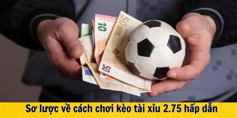 Giải Mã Kèo 2.75 Cách Tối Ưu Lợi Nhuận Với Kèo Tài Xỉu Sâu