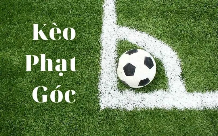 Cách Thức Dự Đoán Kèo Phạt Góc Bóng Đá Chính Xác Theo Dữ Liệu Chuyên Sâu