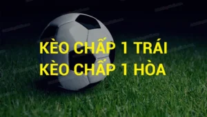 Bí Quyết Đọc Kèo Chấp 1 Để Tăng Tỷ Lệ Thắng Cao Khi Tham Gia Dự Đoán