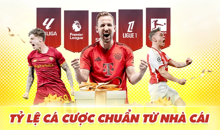 Tỷ Lệ Cá Cược Chuẩn Tại Tylecacuoc53.work: Đánh Giá Chi Tiết Nhất
